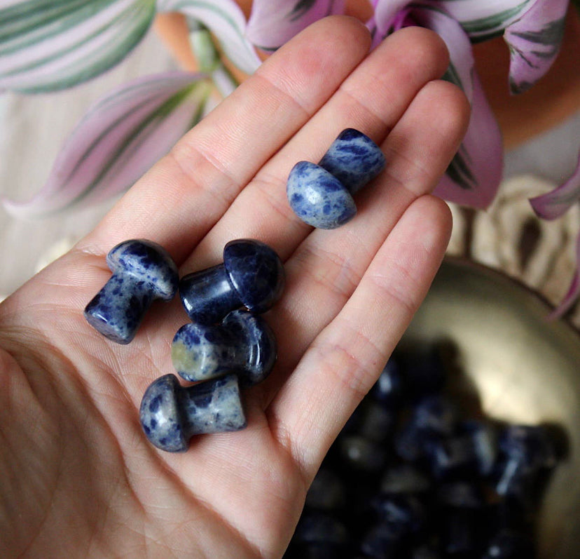 Sodalite Mini Mushroom Crystal