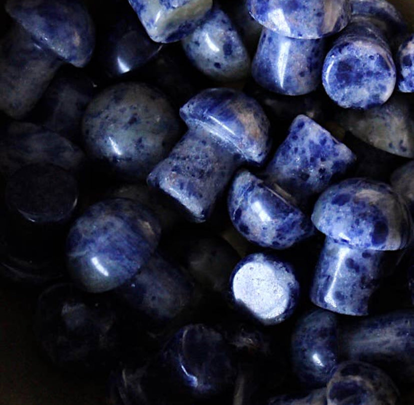 Sodalite Mini Mushroom Crystal
