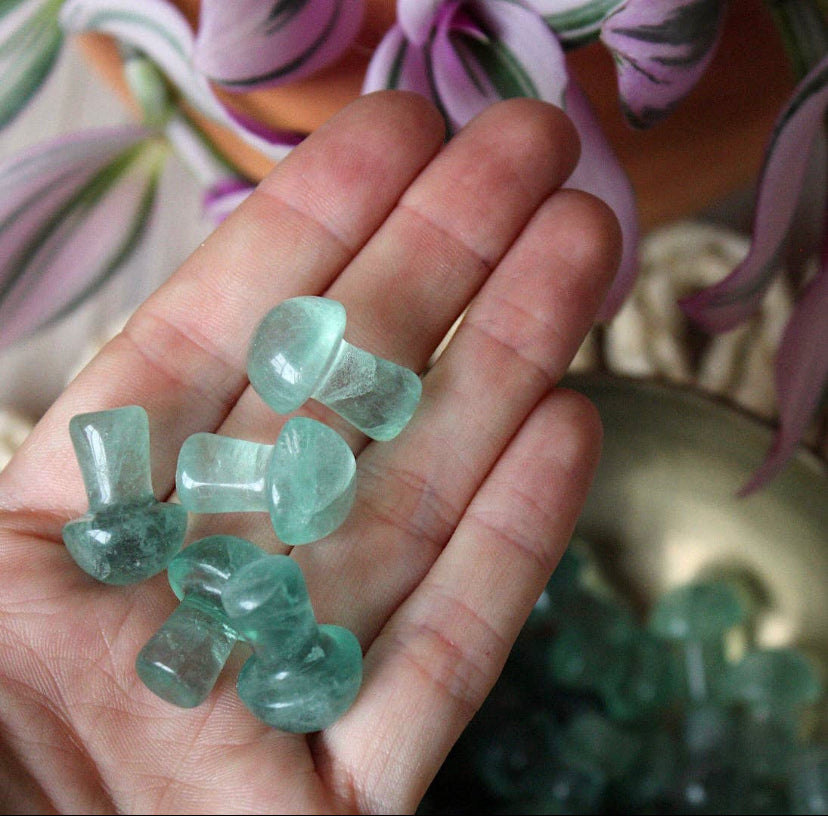 Fluorite Mini Mushroom Crystal